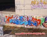 SEL