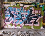SEL