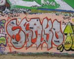 SHAKO