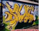 SHAW
