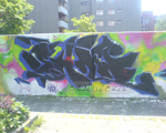 SHAW