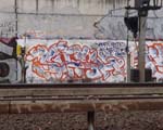 SHEL
