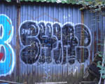 SHINE