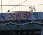 SHINE