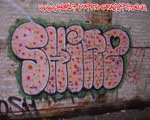 SHINE