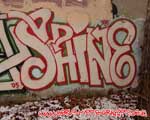 SHINE