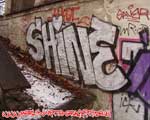 SHINE