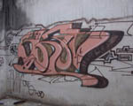 SHiV