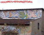SHOK