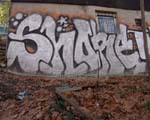 SHORE