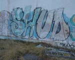 SHUD