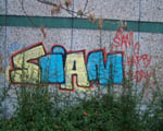 SiAM