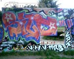 SILD