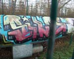 SILD
