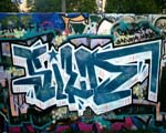 SILD