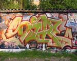 SIRE