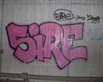 SIRE