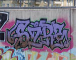 SIRE