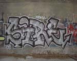 SIRE