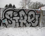 SIRE