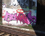 SiRM