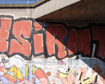 SiRM
