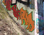 SiRM