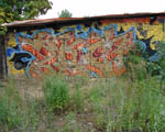 SKAN