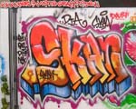 SKAN