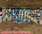 SKAR