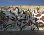 SKIM