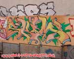 SKIM