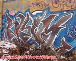 SKIM