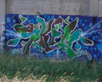 SKIM