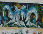 SKIM