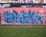 SKIM