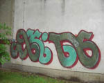 SKiNS