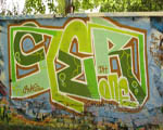 SLER