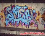 SMER