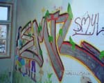 SMIL