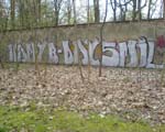 SMIL
