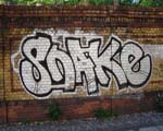 Snake