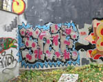 SNIF