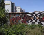 SOE