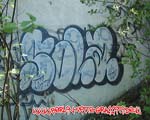 SOLA