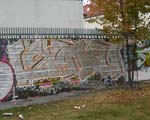 SOMA