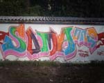 SOMA