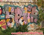 SPAIR
