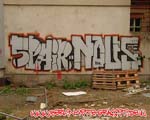 SPAIR
