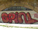 SPIN